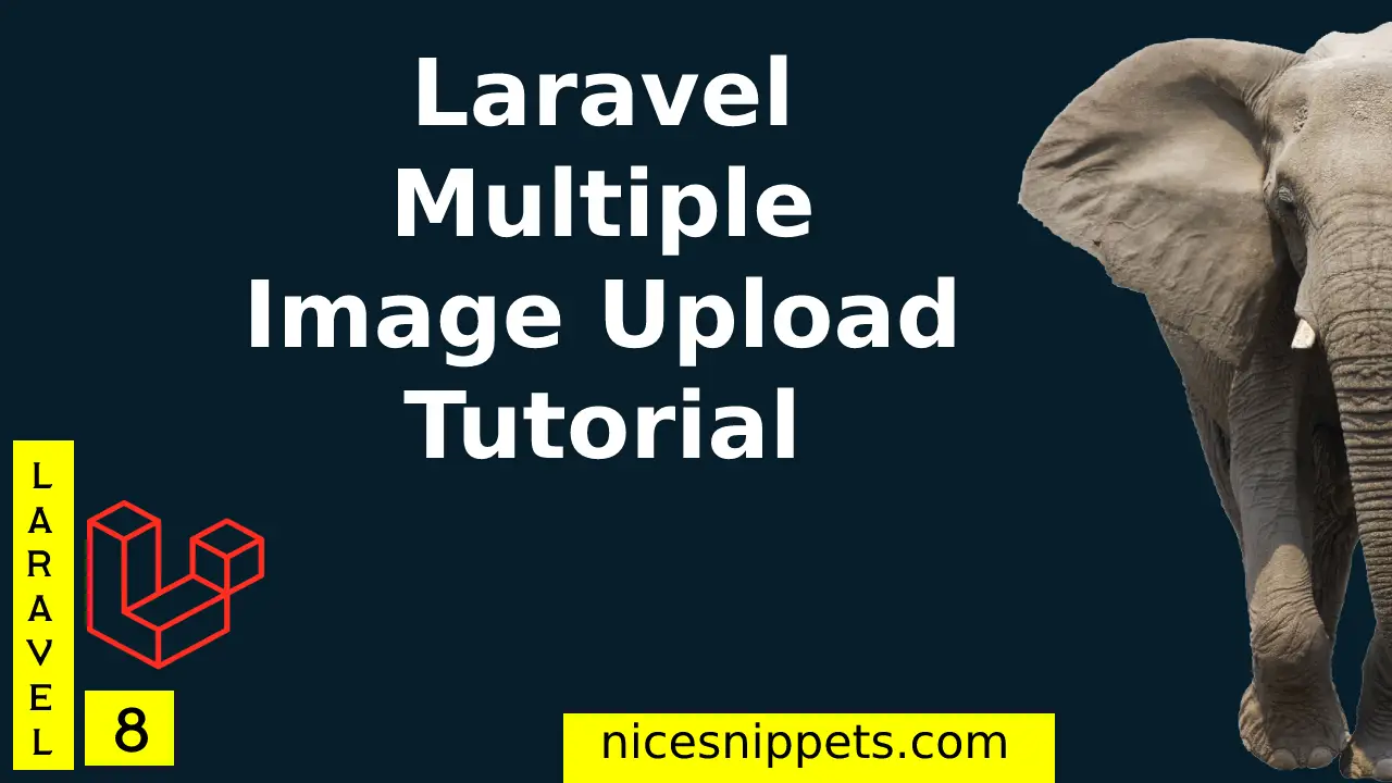 Laravel 8 Multiple Image Upload Tutorial